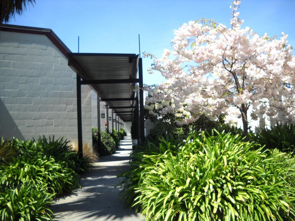 Gothic Heights Motel Christchurch Buitenkant foto